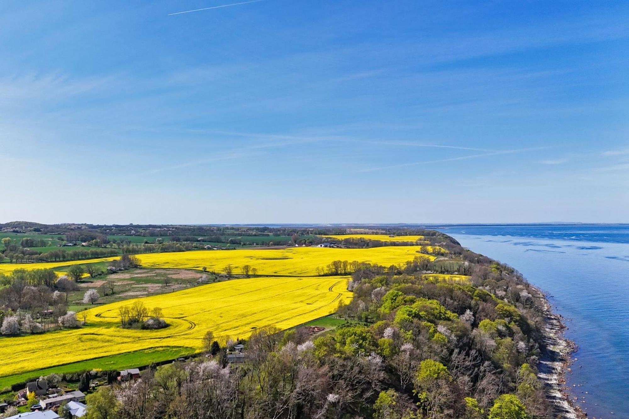 Ferienwohnung Mit Traumhaftem Meerblick - Haus Am Meer Fewo 02 Lohme Dış mekan fotoğraf